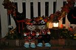 Dcim10561/DSC_6581