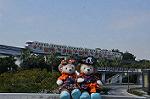 Dcim10564/DSC_7007
