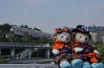 Dcim10564/DSC_7013