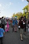 Dcim10566/DSC_7310