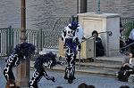 Dcim10567/DSC_7435