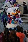 Dcim10567/DSC_7505