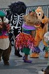 Dcim10568/DSC_7545