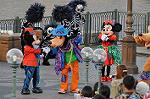 Dcim10568/DSC_7553