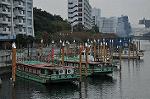 Dcim10572/DSC_7796