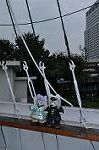 Dcim10572/DSC_7862