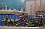 Dcim10573/DSC_7909