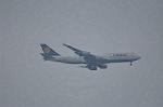 Dcim10573/DSC_8004