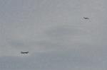Dcim10574/DSC_8060