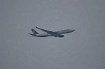 Dcim10574/DSC_8096