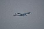 Dcim10574/DSC_8111
