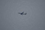 Dcim10574/DSC_8113