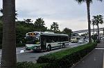 Dcim10575/DSC_8286