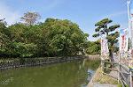 Dcim10591/DSC_0026
