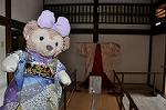 Dcim10592/DSC_0154