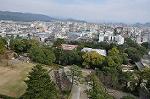 Dcim10592/DSC_0207