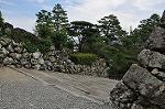 Dcim10593/DSC_0300