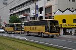 Dcim10593/DSC_0387