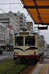 Dcim10593/DSC_0393