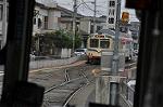 Dcim10593/DSC_0437