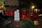 Dcim10594/DSC_0536