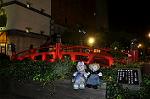 Dcim10594/DSC_0539
