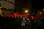 Dcim10594/DSC_0540