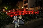 Dcim10594/DSC_0571