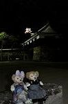 Dcim10596/DSC_0827