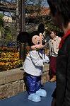 Dcim10606/DSC_1923