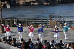 Dcim10608/DSC_2255