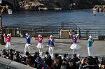 Dcim10608/DSC_2256