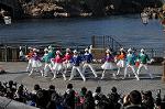 Dcim10608/DSC_2258