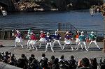 Dcim10608/DSC_2264