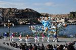 Dcim10608/DSC_2313