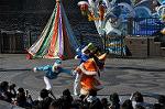 Dcim10611/DSC_2728
