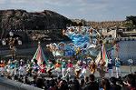 Dcim10613/DSC_2995