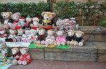 Dcim10616/DSC_3501