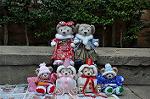 Dcim10616/DSC_3524