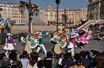 Dcim10631/DSC_5496