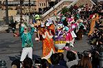 Dcim10631/DSC_5556