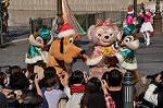 Dcim10633/DSC_5855