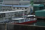 Dcim10659/DSC_8771