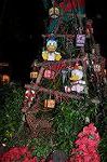 Dcim10672/DSC_0836