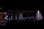 Dcim10673/DSC_0951