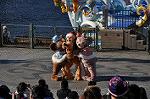 Dcim10681/DSC_1805