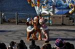 Dcim10681/DSC_1806