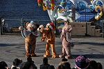 Dcim10681/DSC_1809
