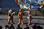 Dcim10681/DSC_1810