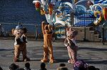 Dcim10681/DSC_1812
